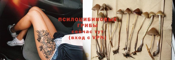 мескалин Алексин