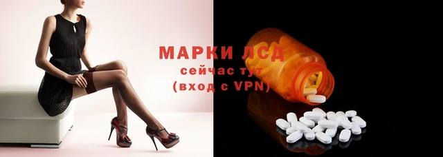 ПСИЛОЦИБИНОВЫЕ ГРИБЫ Новодвинск