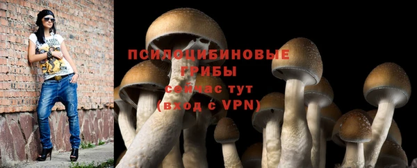 прущая мука Алзамай