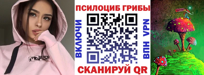 МЕГА вход  Задонск  Галлюциногенные грибы мицелий 